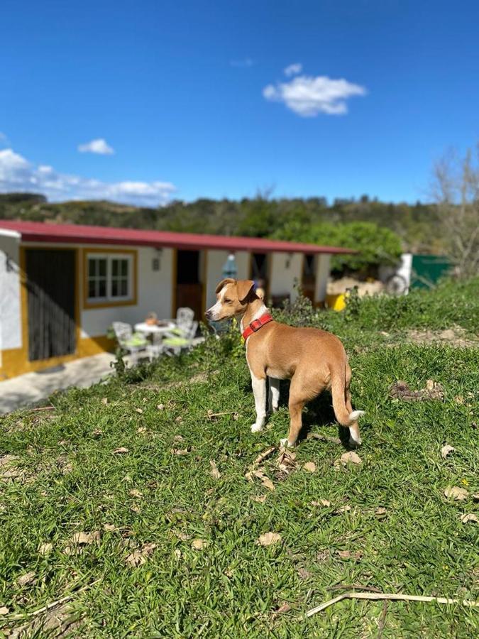 Casinha De Ferias No Campo - Quintinha Dos Cavalos - Arruda Dos Vinhos Sabugos المظهر الخارجي الصورة