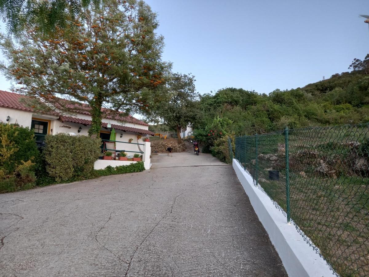 Casinha De Ferias No Campo - Quintinha Dos Cavalos - Arruda Dos Vinhos Sabugos المظهر الخارجي الصورة